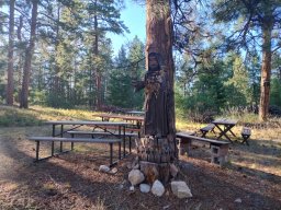 St Francis picnic area